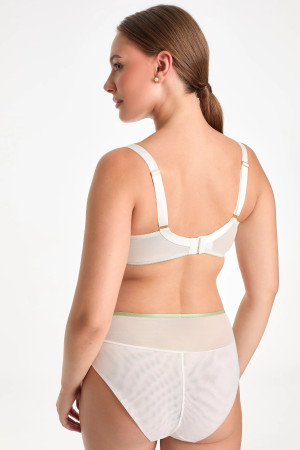 Limon high-waist briefs with lemon embroidery and mesh